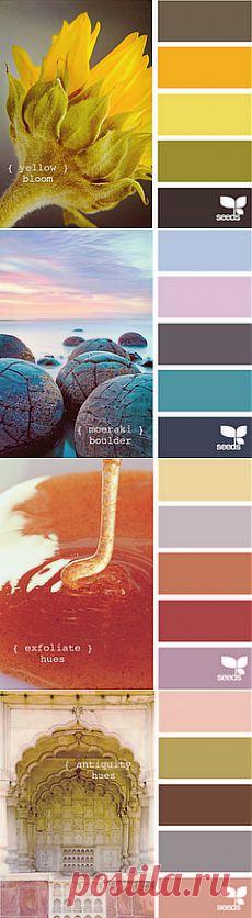 Сочетания цветов / Разговоры на любые темы / PassionForum - мастер-классы по рукоделию