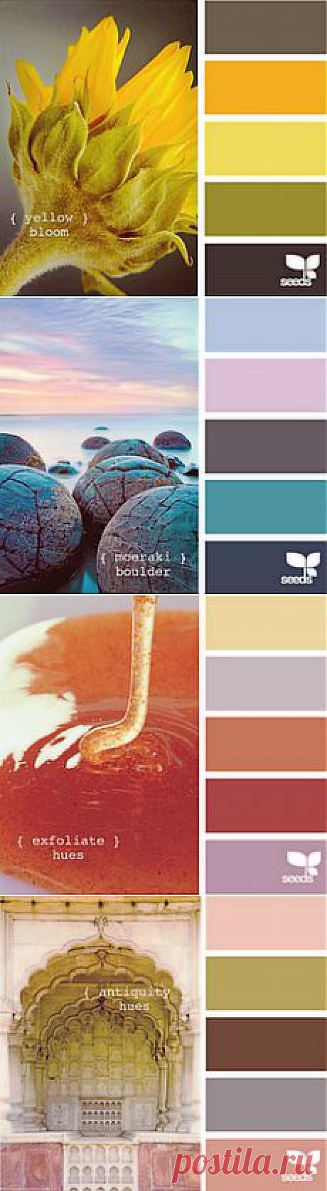 Сочетания цветов / Разговоры на любые темы / PassionForum - мастер-классы по рукоделию