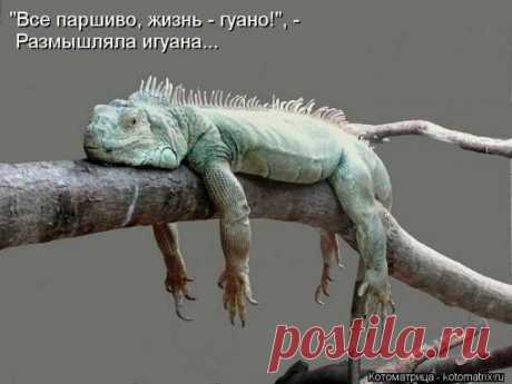 ✿*✿* ВЕРНИСАЖ *✿*✿
НАТАЛЬЯ ПАКЛИНА-ШИРКИНА