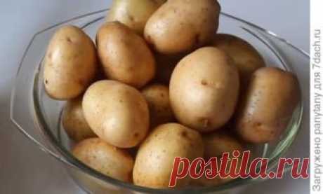 Три классных рецепта избавления от кашля и насморка