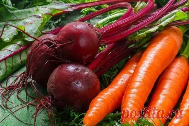 Пять лучших средств для подкормки свеклы и моркови:

Хотите вырастить вкусную, крупную, здоровую морковь и свёклу, которые станут гордостью осеннего сбора урожая? Не забудьте подкормить растения во второй половине лета. Корнеплоды активно растут, растрачивая питательные элементы из почвы, а их запас ограничен! Поэтому без помощи из вне не обойтись.
Показать полностью…