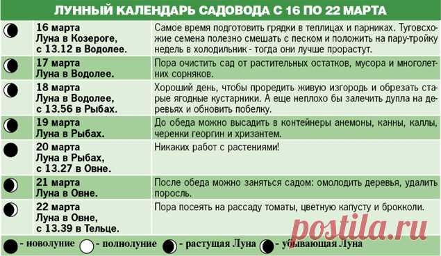 Чтобы получить богатый урожай баклажан — 6 соток