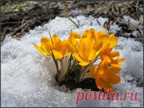 Google+