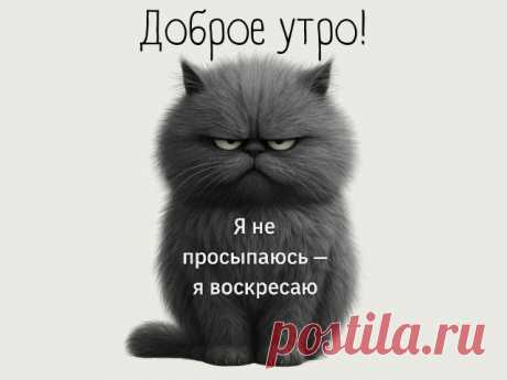 С добрым утром! смешная открытка доброе утро