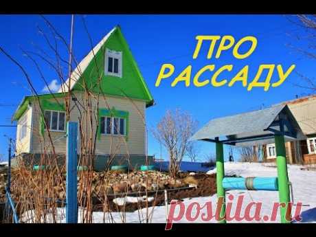 Как подписать рассаду? Отражатель для рассады.