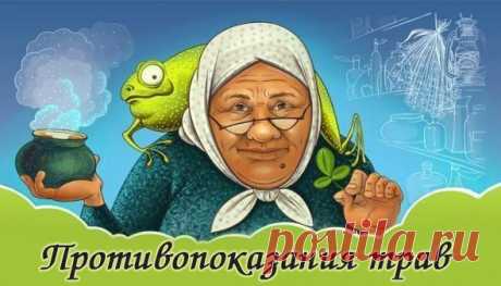 ПРОТИВОПОКАЗАНИЯ ТРАВ!