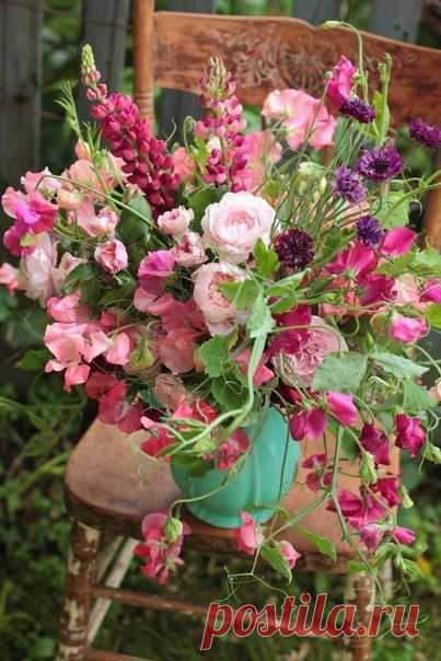 Елена Балакина