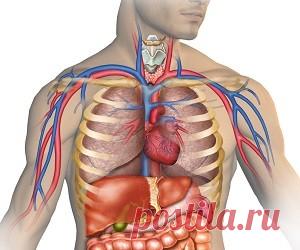 Это простое упражнение улучшит работу внутренних органов
Само упражнение достаточно просто и легко для изучения. Его может освоить всякий, кто в состоянии сидеть «Раскачивание моря» – это упражнение по самомассажу. Если научиться ему должным образом, оно окажется надёжным лечебным средством при многих заболеваниях, включая бессонницу и нарушения в работе желудка и кишечника. «Раскачивание моря» —...
Читай пост далее на сайте. Жми ⏫ссылку выше