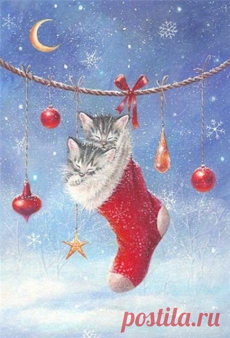 Мои закладки