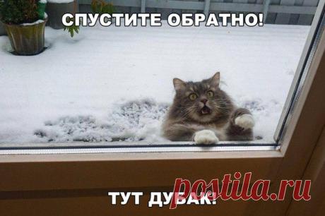 На Случай Важных Переговоров