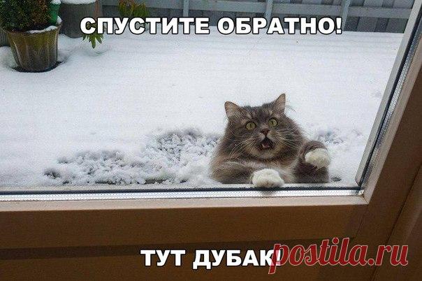 На Случай Важных Переговоров