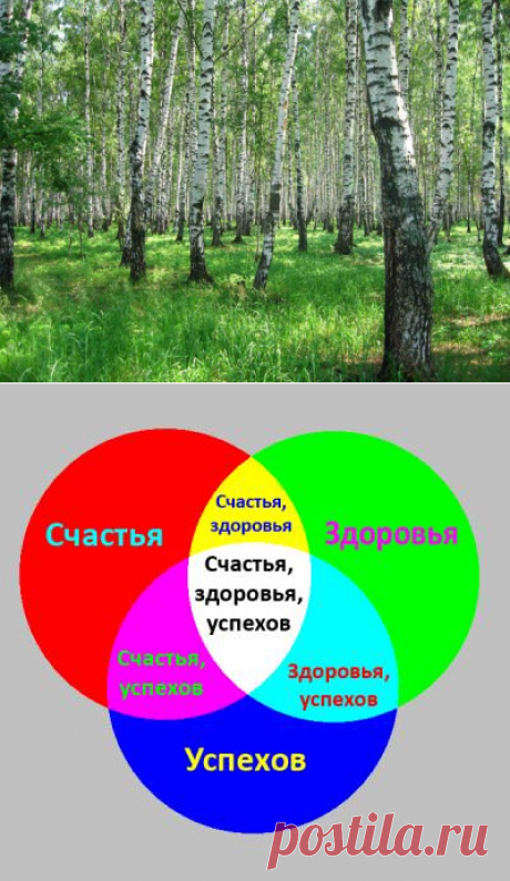 БЕРЕЗОВЫЙ ДАР ПРИРОДЫ.