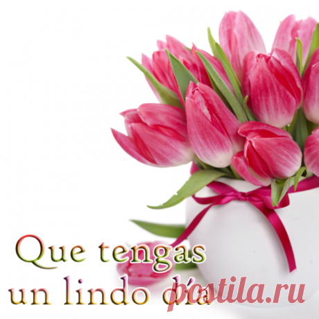 tulipanes de colores - Buscar con Google