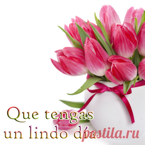 tulipanes de colores - Buscar con Google