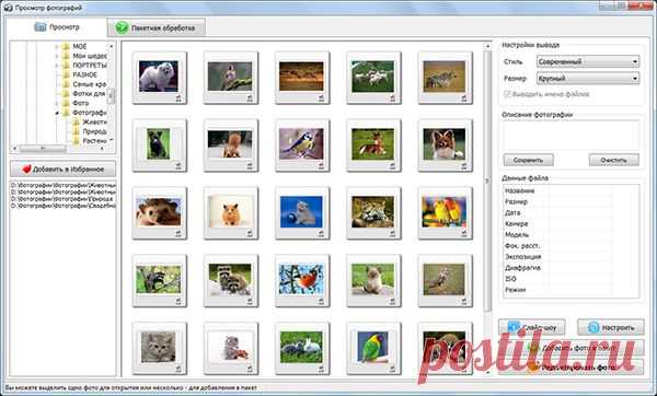 Программа для улучшения фотографий - Домашняя Фотостудия