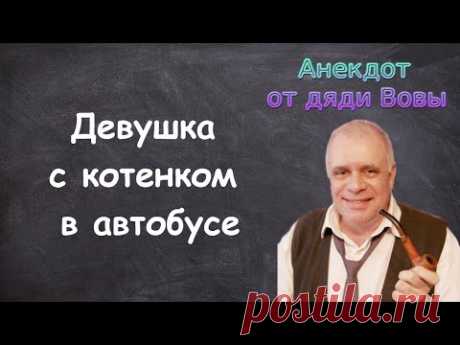 Анекдот про девушку с котенком в автобусе. Анекдоты от дяди Вовы.