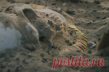Обнаружен череп человека аномальной формы