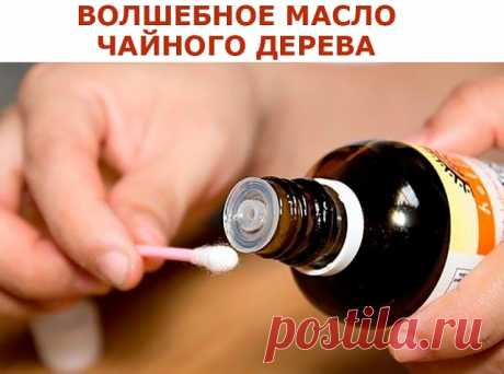 (99+) Одноклассники