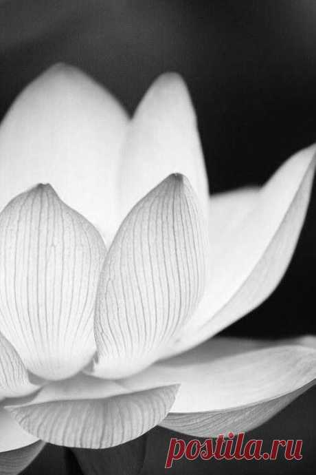 (28) Pinterest