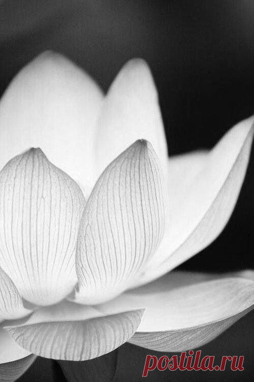 (28) Pinterest