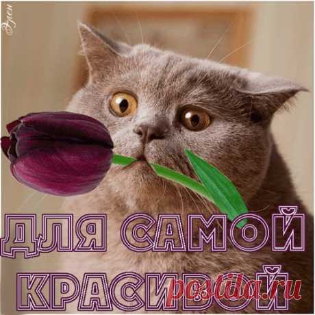 Красивые анимационные картинки подарки - анимашки и блестяшки
