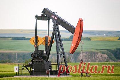 Кишинев возьмет под контроль месторождения нефти на юге Молдавии. Парламент Молдавии принял решение взять под контроль месторождения нефти на юге страны. Согласно законопроекту, Кишинев будет контролировать газовые месторождения в селе Викторовка Кантемирского района и нефтяные месторождения в селе Вэлень Кагульского района. Действие предыдущей лицензии на разработку истекло.