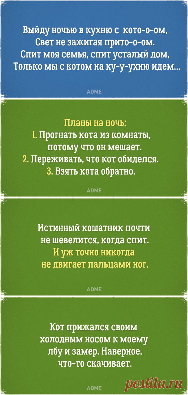 20 открыток о нелегкой жизни котов и их владельцев