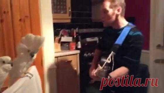 Для поднятия настроения! - Константин Рониньо