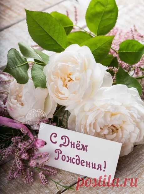 стильные открытки с днем рождения: 5 тыс изображений найдено в Яндекс.Картинках | Рождение, С днем рождения, Цветы день рождения стильные открытки с днем рождения: 5 тыс изображений найдено в Яндекс.Картинках