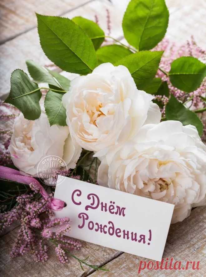 стильные открытки с днем рождения: 5 тыс изображений найдено в Яндекс.Картинках | Рождение, С днем рождения, Цветы день рождения стильные открытки с днем рождения: 5 тыс изображений найдено в Яндекс.Картинках