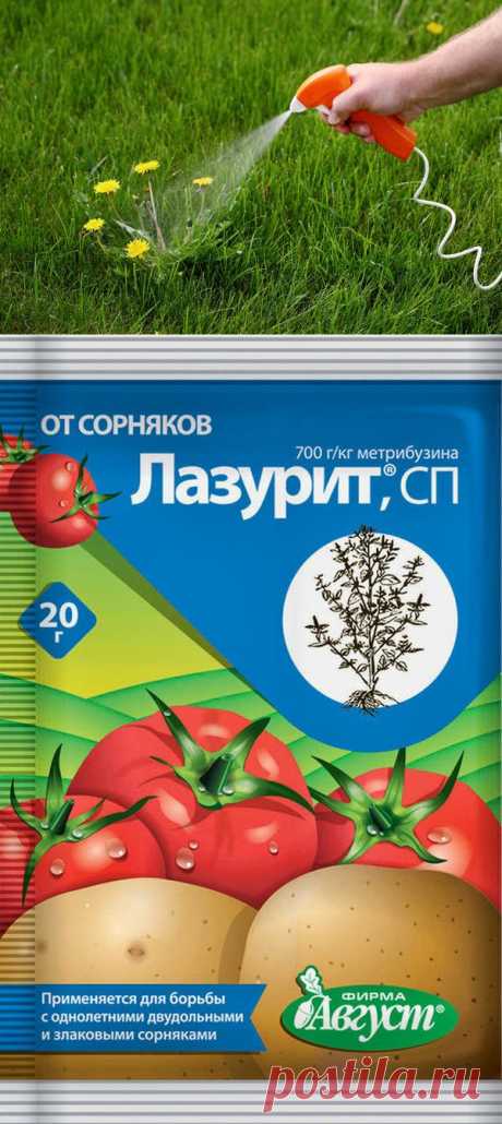 Как разумно применять гербициды на приусадебном участке / гербициды / 7dach.ru