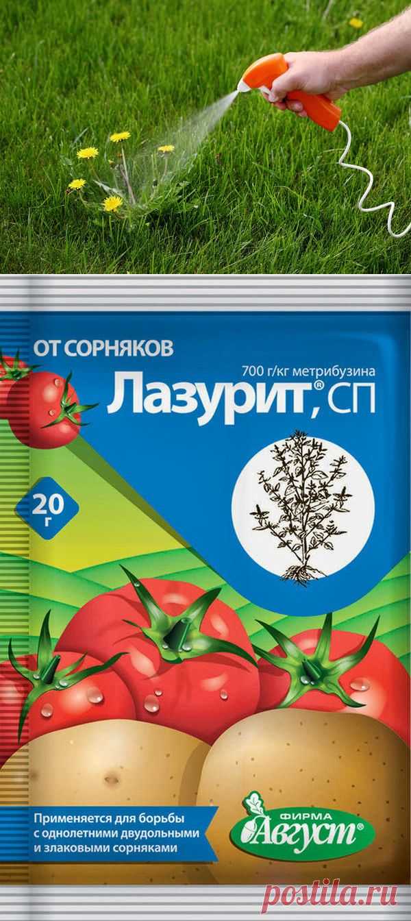 Как разумно применять гербициды на приусадебном участке / гербициды / 7dach.ru