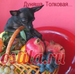 Мудрые мысли