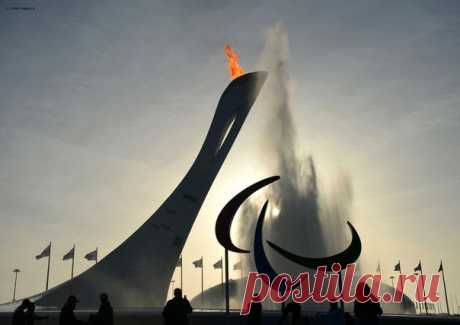 Мои подписки | Postila.ru