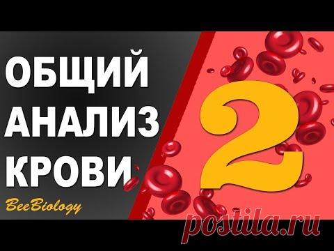 Общий Анализ Крови • НОРМА • показателей  /Гемоглобин / Эритоциты / СОЭ / Лейкоциты / Тромбоциты