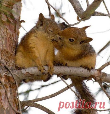 Интересные новости