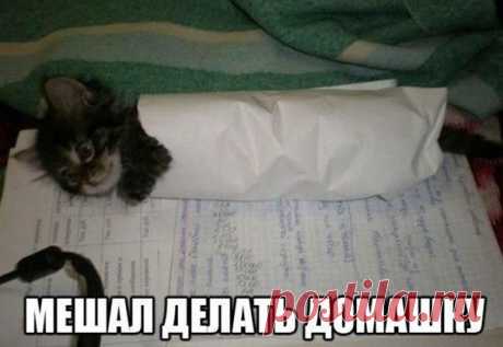 Сохранённые фотографии | 133 фотографии