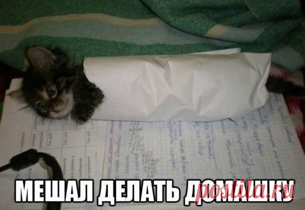 Сохранённые фотографии | 133 фотографии