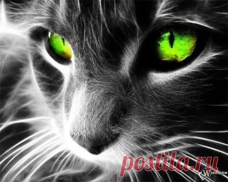 (1) Facebook