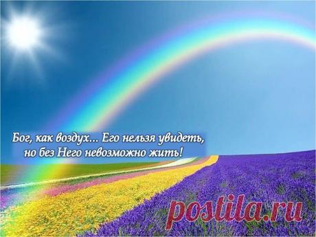 К Богу нужно идти до беды, а не во время беды. Бог - это не скорая помощь, которую вызывают, когда становится плохо. Бог необходим человеку каждый день, как хлеб, как воздух! 
 
Протоиерей Андрей Ткачев