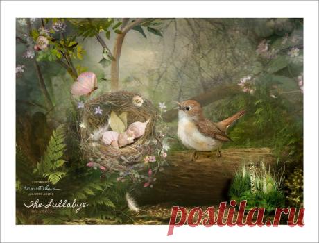 Charlotte Bird Fairy Photographer - Фото