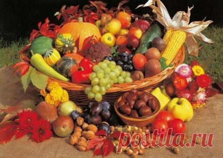 Как защитить печень: что можно есть и чего нельзя