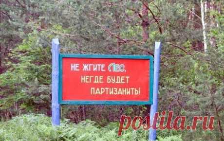 прикол