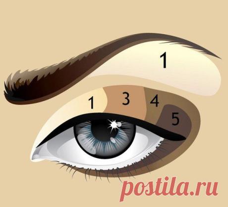 Вертикальная схема нанесения теней