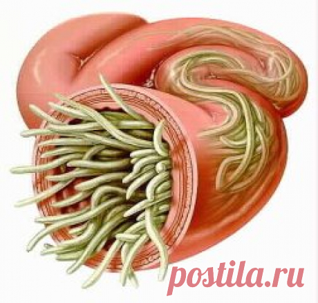 (70) Одноклассники