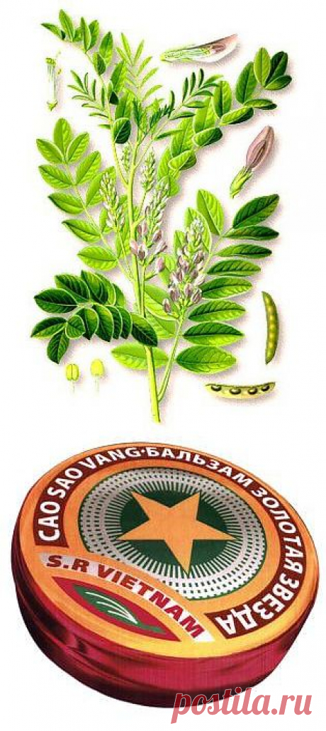 Нестандартные секреты красоты из аптеки!.