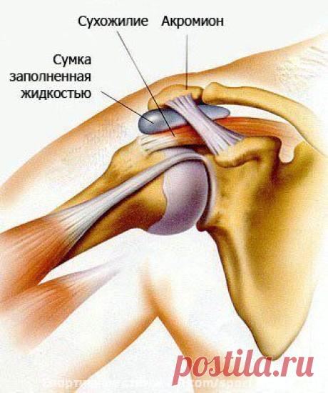 Устраняем проблемы с плечевыми суставами / Спорт Сильных!