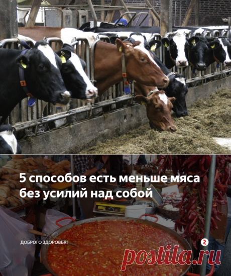 5 способов есть меньше мяса без усилий над собой | Доброго здоровья! | Яндекс Дзен