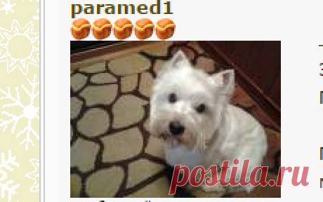 Чайная беседка - ХЛЕБОПЕЧКА.РУ 
Это рецепт кулича на закваске.  Сейчас я закваску изменила на пре-фермент.
КУЛИЧ НА ЖД:
Пре-фермент 300 г (150 муки и 150 воды)
мука пшеничная 380 г
молоко 30 мл
яйцо 3 шт.
сахар 100 г
ванильный сахар 1 ст.л.
масло сл.мягкое 100 г
соль 0,5 ч.л.
изюм 100 г ...