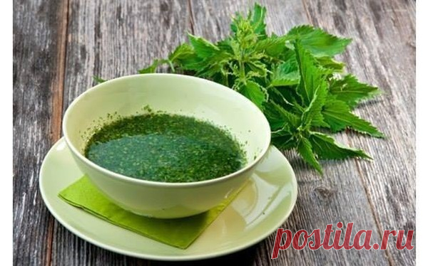 ДЕЛАЕМ ЛЕЧЕБНОЕ МАСЛО ИЗ КРАПИВЫ – Блог. Людмила, пользователь Людмила Далингер | Группы Мой Мир